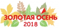 ЧиП г. Череповца "Золотая осень" (2 день. Эстафета, спринт) ЧиП г. Череповца "Золотая осень" (2 день. Эстафета, спринт)